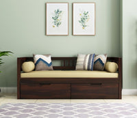 Solid Wood Divan with Storage for Living Room