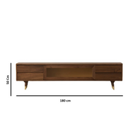 Wooden TV Cabinet in Black Walnut Finish for Entertainment Space