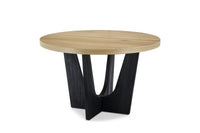 Solid Wood Dining Table 4-Seater Set for Dining Room